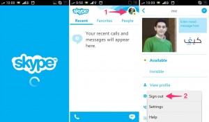 Sign out in Skype
