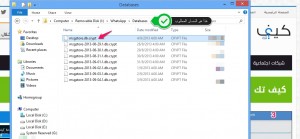 whatsapp fatabases