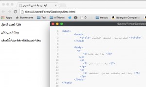 كيفية تنسيق النصوص داخل الفقرة باستخدام وسوم i و b و s