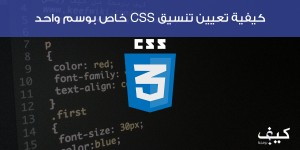 كيفية تعيين تنسيق CSS خاص بوسم واحد