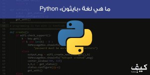 ما هي لغة “بايثون” Python