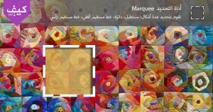 كيفية استخدام أداة التحديد Marquee