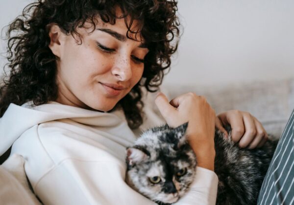 ما هو التعلق العاطفي بالقطط ولماذا نعدها جزءًا من الأسرة
